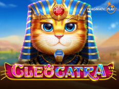 En iyi çimento markası türkiye. Cool cat casino free chip.27